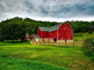 KS estate planning